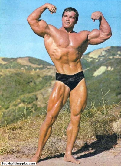 majkel_bialkov - Przy kreceniu Pumping Iron ze Schwarzeneggerem nakrecono ponad 100 g...