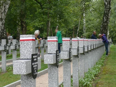 P.....k - Kolejny odcinek z serii pt. "Biało-czerwone wstążki majo przykryć celtyki i...