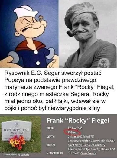 zafrasowany - Pierwowzór kreskówkowego Papaja był podobno Polakiem. Frank „Rocky” Fie...