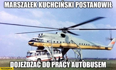 dziki_pl