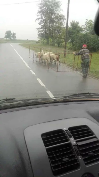 sielkunczik - kurła, jadę przez podlasie a tu takie rzeczy 
#gownowpis