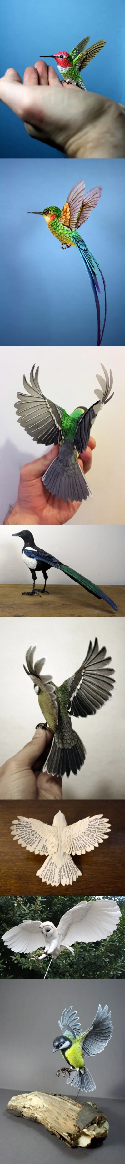 likk - #sztuka #ptaki #wycinanki #art 

Ptaki z papieru by Zack Mclaughlin