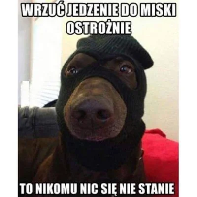 pateln1a - #heheszki #smiesznypiesek