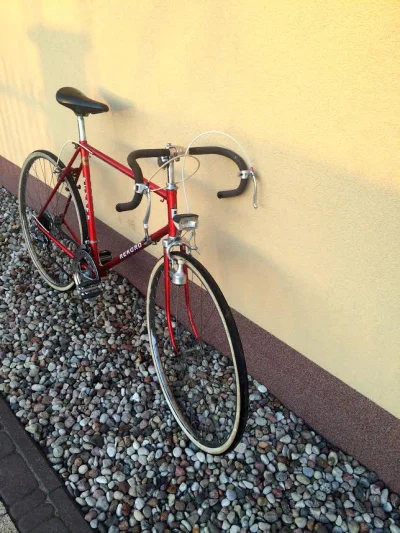 Degenerate - #ostrekolo #rower

Zakupiłem czerwone ferrari i przymierzam się do rem...
