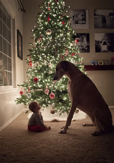 batgirl - Psy to najlepsi przyjaciele człowieka, piękne jest to zdjęcie :3
#psy #pies...