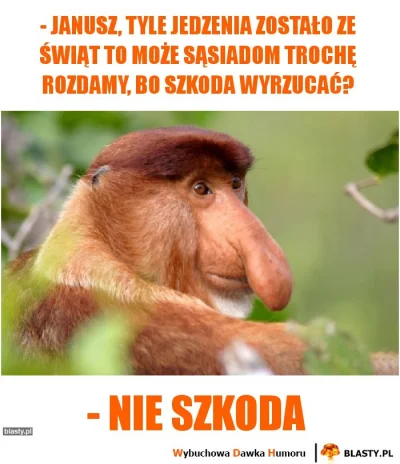 B.....q - (ง✿﹏✿)ง
#polak #nosacz #nosaczsundajski #heheszki #humorobrazkowy #swieta