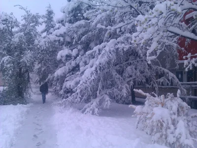 xandra - Kiedyś to były zimy, teraz już nie ma zim (ಠ‸ಠ)
SPOILER

#czestochowa #ra...