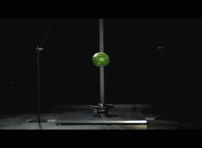 zwirz - #gif #arbuz #airbag