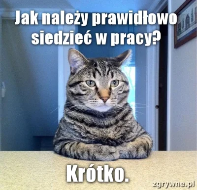 pablonzo - ¯\\(ツ)\/¯
#pracbaza #smiesznekotki #takaprawda #heheszki