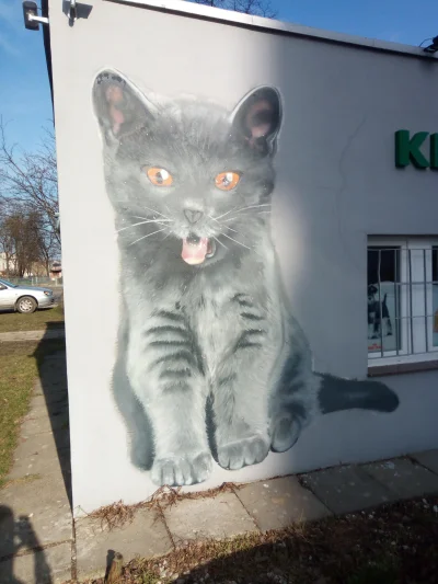 radoslaw-szalkowski - @elady1989: dzięki - a ja takiego kota znalazłem :)