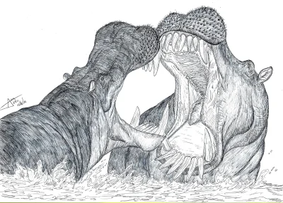 Prekambr - Hexaprotodon sivalensis, czyli kiedyś to były hipopotamy. Nazwa tego zwier...