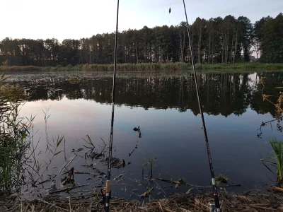 NiebieskaOsa - Dzisiaj start o 5:00, pogoda dopisuje, 10°C 
(｡◕‿‿◕｡)
Miłej niedzieli ...