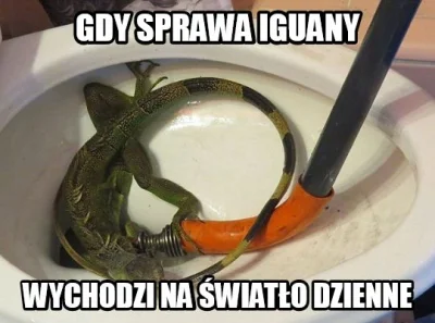 lohmeyer - Są dowody, świadkowie i afera. Niczego już nie zatuszujesz Michał. Mam nad...