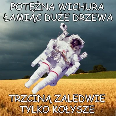 walter-pinkman - Za tego kosmonautę nie ma bana 
SPOILER
#wolnoscdlakosmonautynawyk...