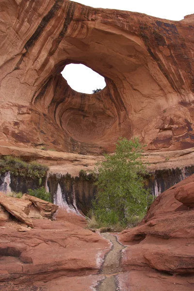 tomasz-szalanski - Beneath Bowtie Arch, Utah, USA

#fotografia #podroze #podrozujzw...