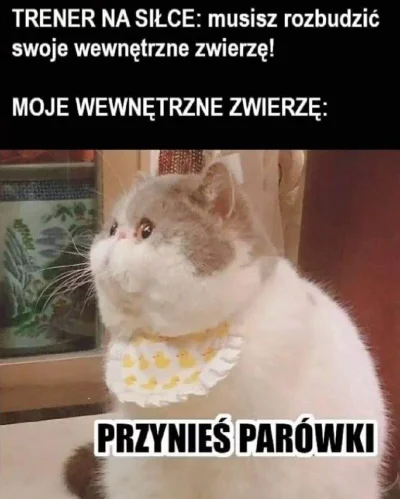 krave - Dzień dobry :)
#smiesznekotki #koty #heheszki #humorobrazkowy #coaching