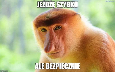 PodwozieByloZle - #heheszki #humorobrazkowy odpowiednia pora roku, odpowiedni mem ( ͡...