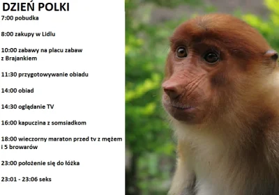 ziutek1294 - #polak #polki #polska #heheszki #humorobrazkowy