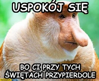 wlepierwot - #polak #nosaczsundajski #gownowpis #polska #swieta