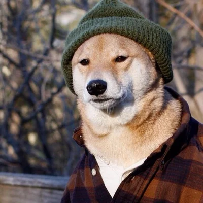 Synekdocha - #lumberseksual #doge