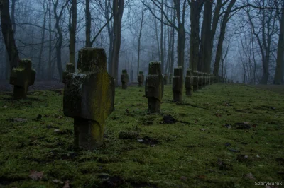 nightmeen - Mniej znana część cmentarza garnizonowego w Twierdzy Modlin.

Zapraszam...
