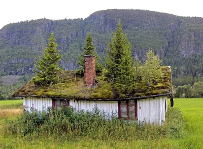 PMV_Norway - Była na mikro rozmowa o dachach z trawą
#norwegia #budownictwo 
#buduj...