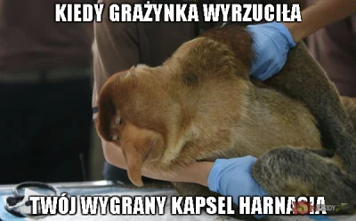 takbyloiniebylo - #polak #heheszki #humorobrazkowy #piwo