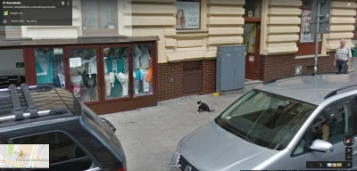 GlebakurfaRutkowski_Patrol - @Myrszula: A tutaj zdjęcie ze street view