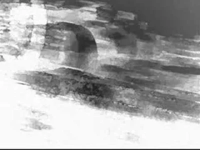 name_taken - PJ Harvey - White Chalk

ciekawe czy się pojawi ten utwór, chciałbym g...