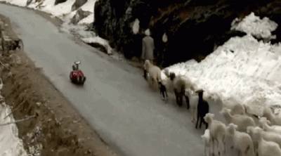 hops - Saneczkarz z Indii szykuje się na Igrzyska, zjeżdżając po górskich drogach #mi...