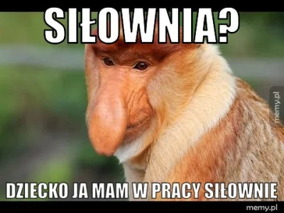 ziobro2 - #siłownia