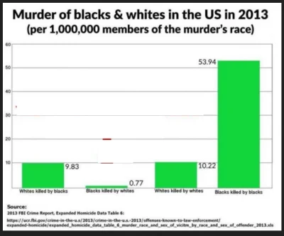 trebeter - gdyby usunąć pewną 13% mniejszość z USA
to liczba morderstw spadłaby do ś...