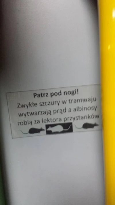 tygryszglowagolebia - Pożyczone ze Spotted MPK Poznań na FB



#heheszki #poznan