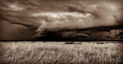 sinusik - Burza nad Maasai Mara w Kenii

#burza #natura