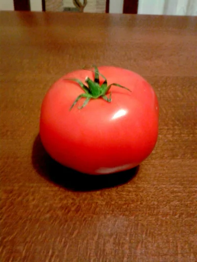 EastPage - To jest pomidor
#pomidorboners