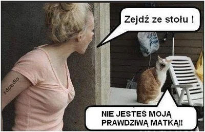 kamil-glazewski - #koty #logikakota #humorobrazkowy