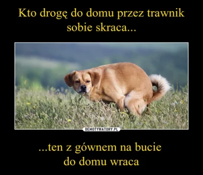 darbarian - @StaraSzopa: Eeeeeeeeeeeeeeeee tam idzie wiosna przecie .Śnieżek znika a ...