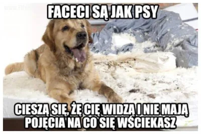 pogop - Chyba coś w tym jest XD Wydaje ci się, że wszystko jest zajebiście, a tu #!$%...