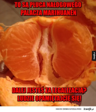 endrjupl - #heheszki #humorobrazkowy #kwejkaledobre #marichuaen