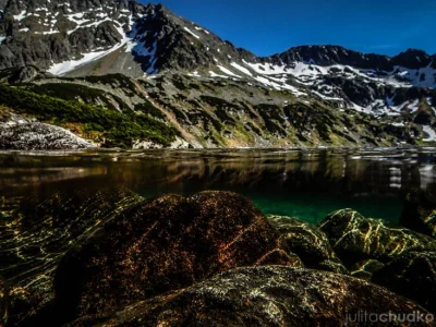 U.....a - Wielki Staw Polski
źródło
#tatry #gory #fotografiapodwodna