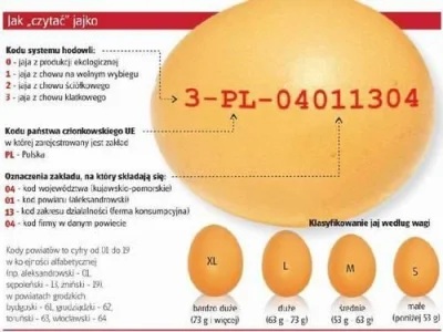 p.....2 - Przy okazji- jak czytać jajko ( ͡° ͜ʖ ͡°)