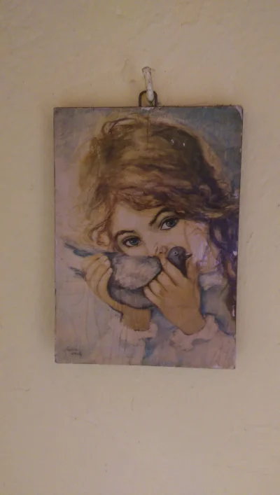Lakom1907 - Plusujemy dziewczynkę z gołąbkiem?

#ornitologia #sztuka #gimbynieznajo