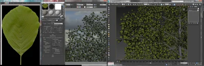 mrlegionista - [3ds max]
mam model drzewa, jako bitmapa do liscia służy obrazek taki...