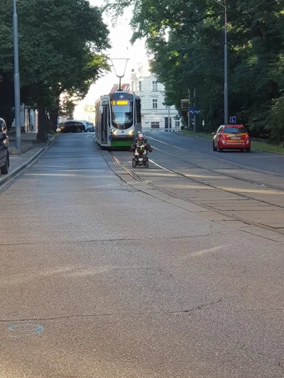 Dominek - Balbina bierze się za tramwaje 
#szczecin