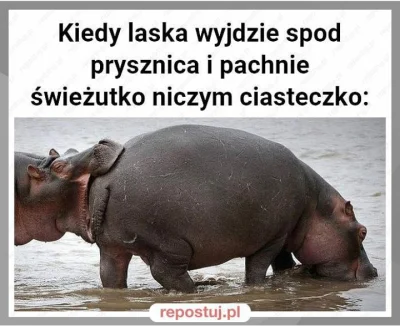 trusia - (ʘ‿ʘ)
#heheszki #humorobrazkowy #zwierzaczki