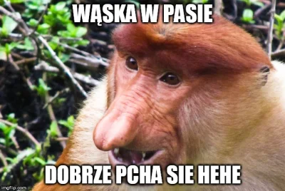 Aoky - #polak #heheszki