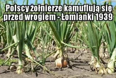 mikasssa - #heheszki #humorobrazkowy