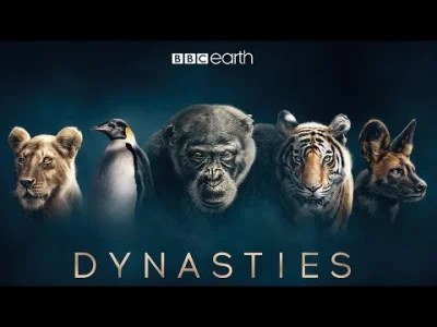 cheeseandonion - This is Dynasties!


#natura #zwierzeta #zwiastun #trailer #przyr...