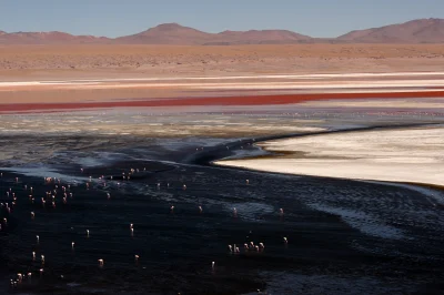 KrolWlosowzNosa - Laguna Colorada. Altiplano. Boliwia.

#fotografia #amerykapoludni...