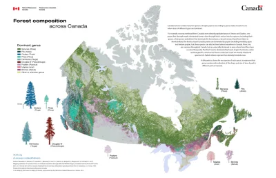 Lifelike - #geografia #kanada #przyroda #lasy #drzewa #graphsandmaps #gruparatowaniap...